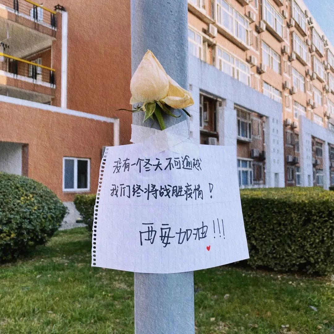 各高校抗疫日记上热搜！西安大学生们燃起来了！休闲区蓝鸢梦想 - Www.slyday.coM