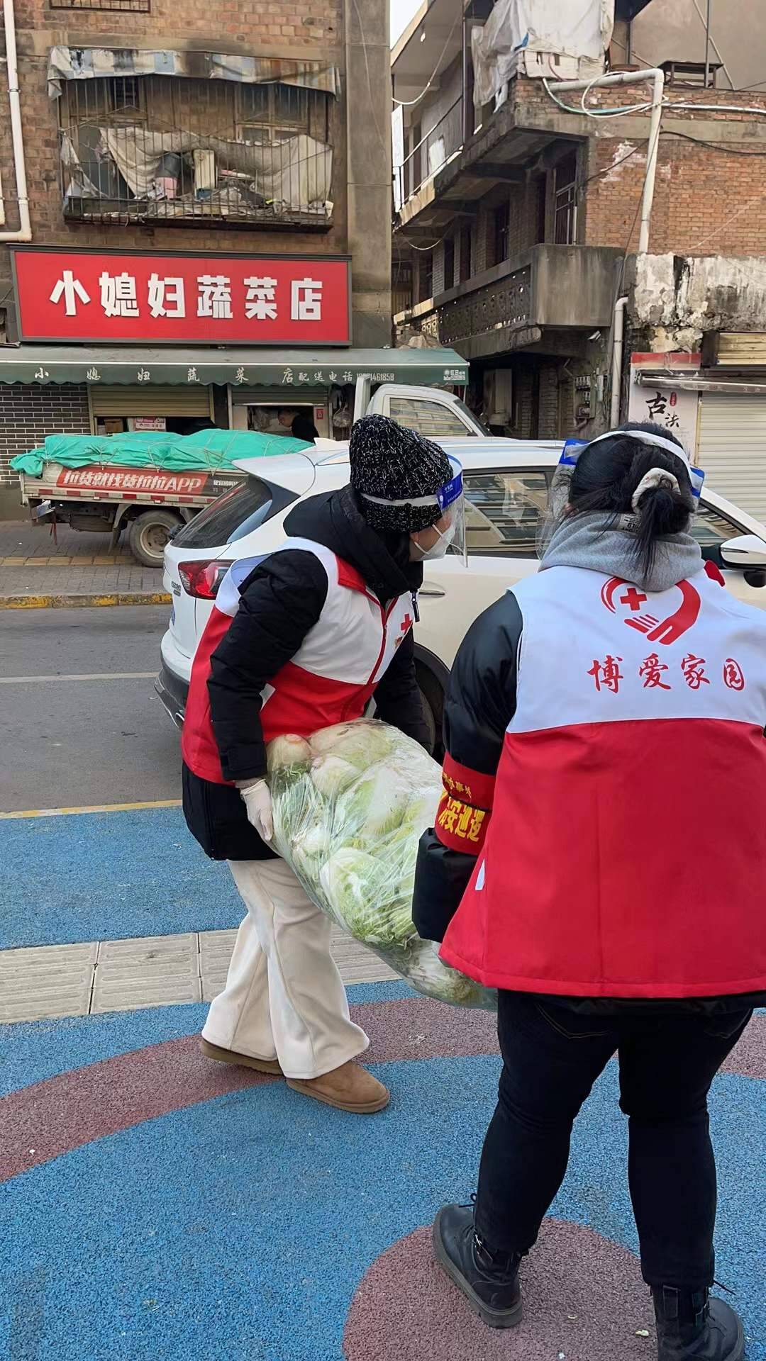 山东捐赠的10万斤爱心菜已到西安 供应给2000多名师生和居民休闲区蓝鸢梦想 - Www.slyday.coM