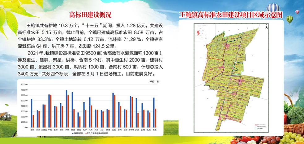 启东市王鲍镇:扎实推进高标准农田建设,助力乡村振兴|启东市|专业