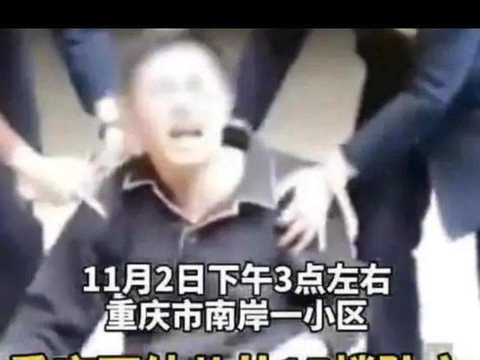 无主犯从犯之分，“重庆姐弟坠楼案”现“双主犯”，具有警示意义|张波|重庆市|案件|死刑|犯罪_新浪新闻