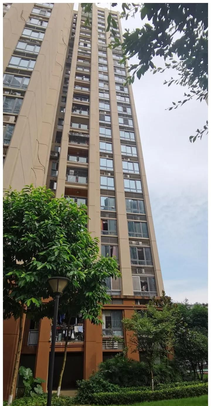 重庆姐弟坠楼案宣判两被告死刑:重组家庭应如何对待前任子女?休闲区蓝鸢梦想 - Www.slyday.coM 重庆姐弟坠楼案宣判两被告死刑:重组家庭应如何对待前任子女?休闲区蓝鸢梦想 - Www.slyday.coM