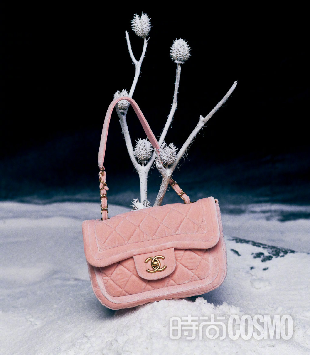 雪山乐队 大概是极寒的温度给予了鼓手挥起鼓棒的动力……休闲区蓝鸢梦想 - Www.slyday.coM