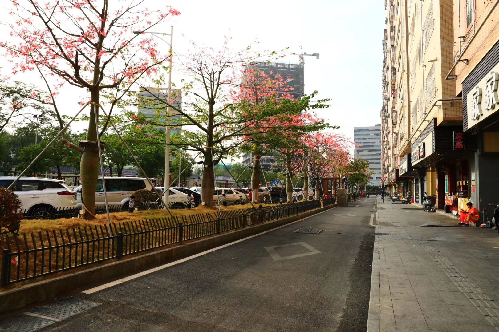 凤凰街道提升物业管理品质创建和谐宜居社区