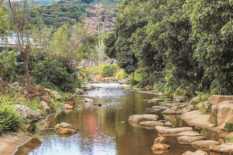 塘朗山又添好去处深云谷景区建成开放