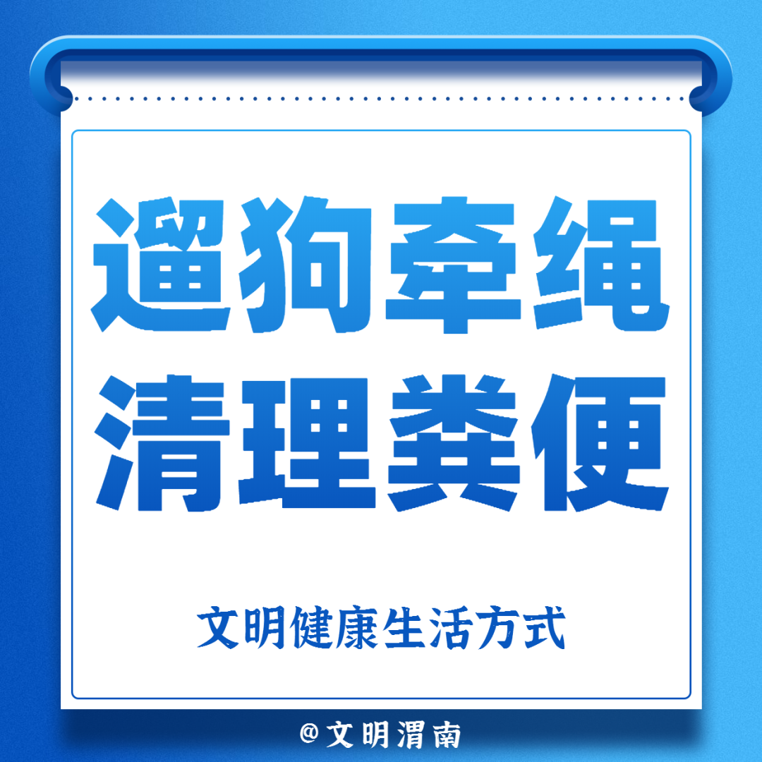 今天也要做的事：宅家、做核酸、一起抗疫休闲区蓝鸢梦想 - Www.slyday.coM
