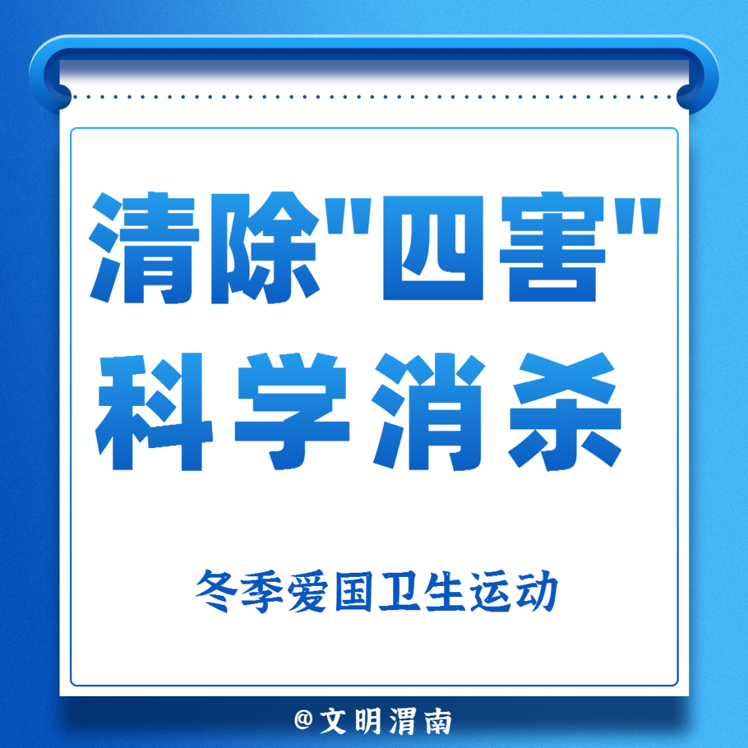 今天也要做的事：宅家、做核酸、一起抗疫休闲区蓝鸢梦想 - Www.slyday.coM
