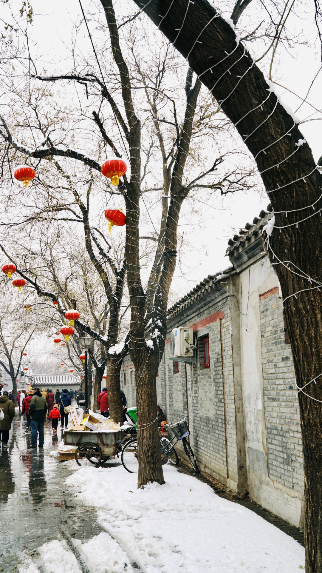 现在距冬奥会还有一个多月,北京下了象样的雪有两三场,距离去年冬季七