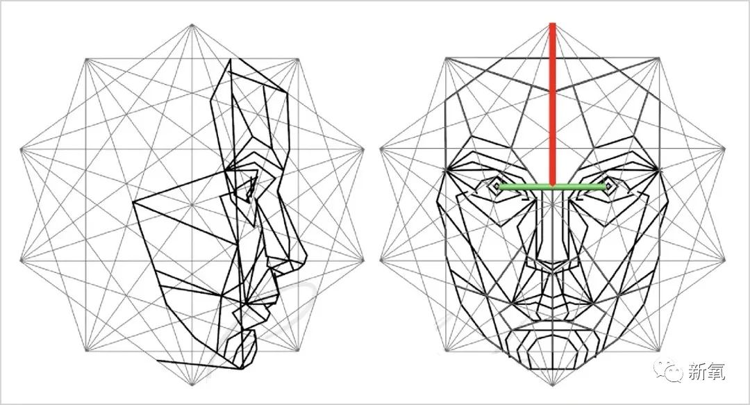 marquardt的整形外科专家,利用黄金比例建立的一个理想容貌,称之为"