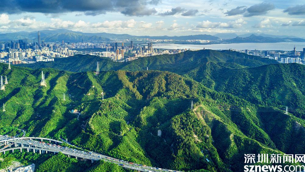 塘朗山郊野公园深云谷景区建成开放既可登高揽胜又能入谷寻幽