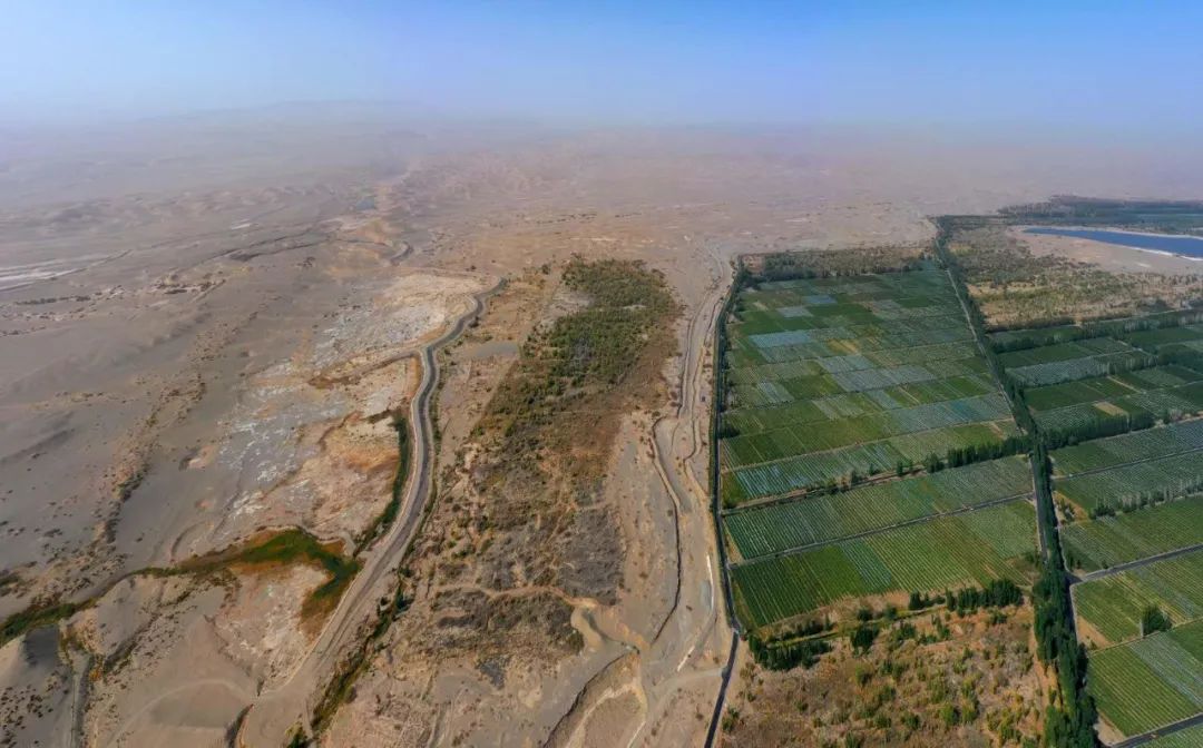 图为建于1963年的阳关林场，紧挨着库姆塔格沙漠。（当地志愿者摄）