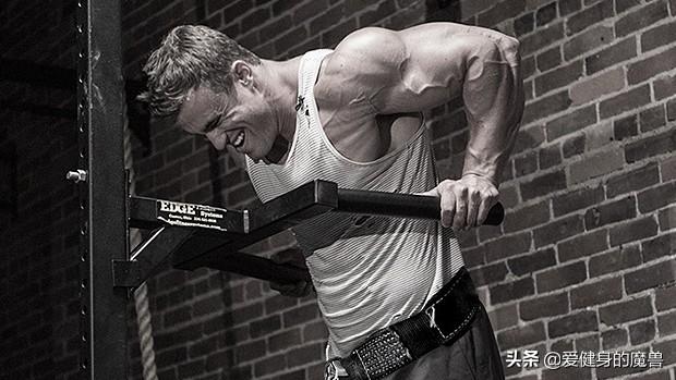 肱二头肌|杠铃|肱三头肌_新浪新闻