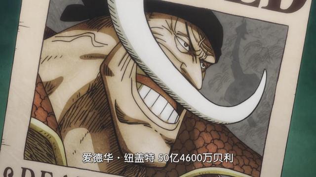 迷之赏金白胡子赏金为什么有50亿粉丝震震果实得占25亿
