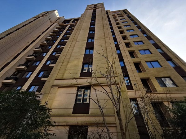 图说:苔藓孢子随风吹落高处,附着建筑外立面真石漆上 摄影:王军(下同)