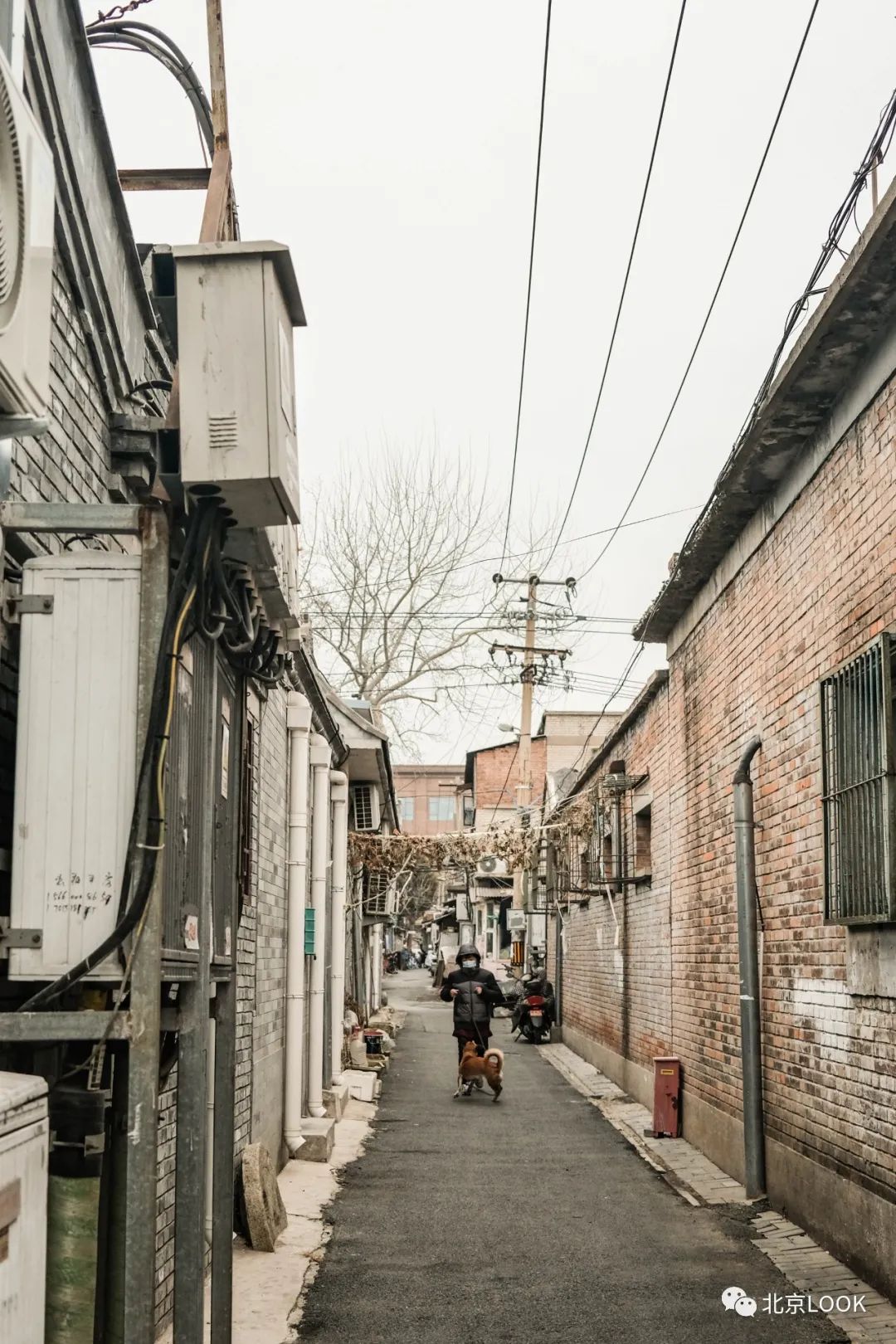 25张街景大片北京生活影像北京look