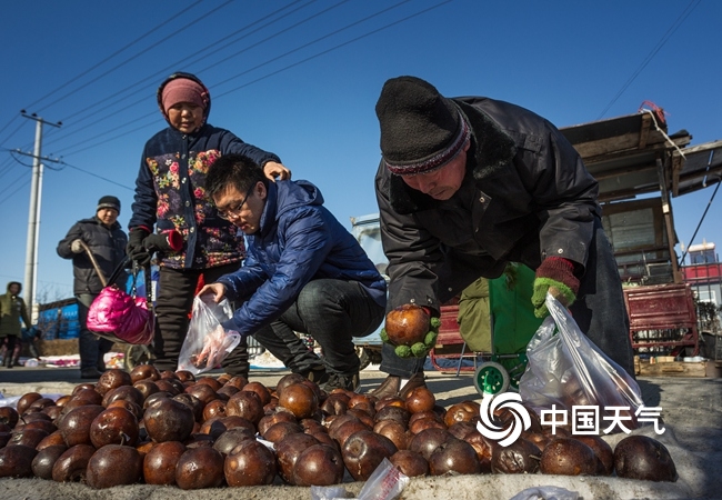 临近春节，黑龙江佳木斯采买年货的人们正在挑选冻梨。（肖殿昌/视觉中国）