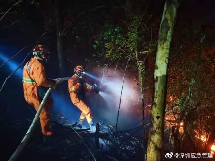 深圳南山区大南山发生山火:明火已灭正调查起火原因