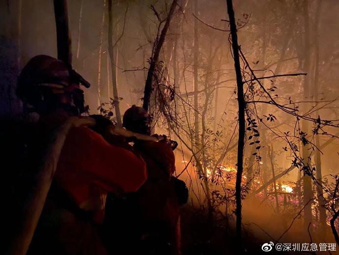 深圳南山区大南山发生山火:明火已灭正调查起火原因
