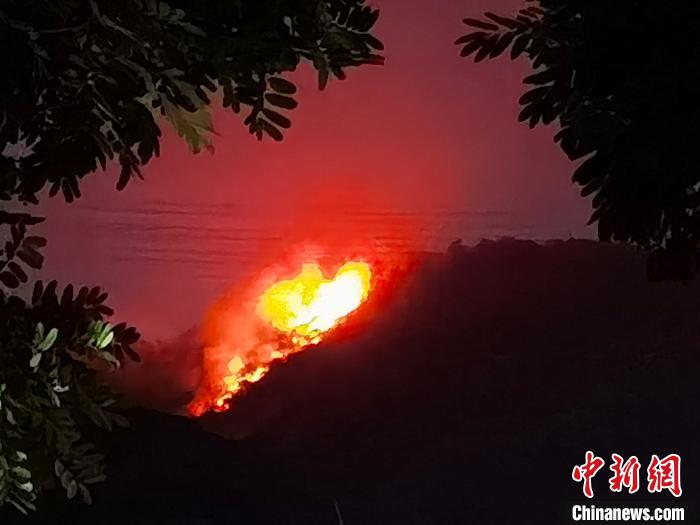 深圳南山区大南山山火初步得到控制