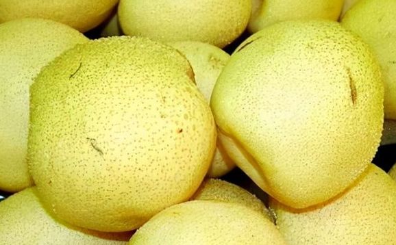 明天跨年夜,爷爷说家里要有的3种发财果,寓意事事顺心吉星高照休闲区蓝鸢梦想 - Www.slyday.coM 明天跨年夜,爷爷说家里要有的3种发财果,寓意事事顺心吉星高照休闲区蓝鸢梦想 - Www.slyday.coM