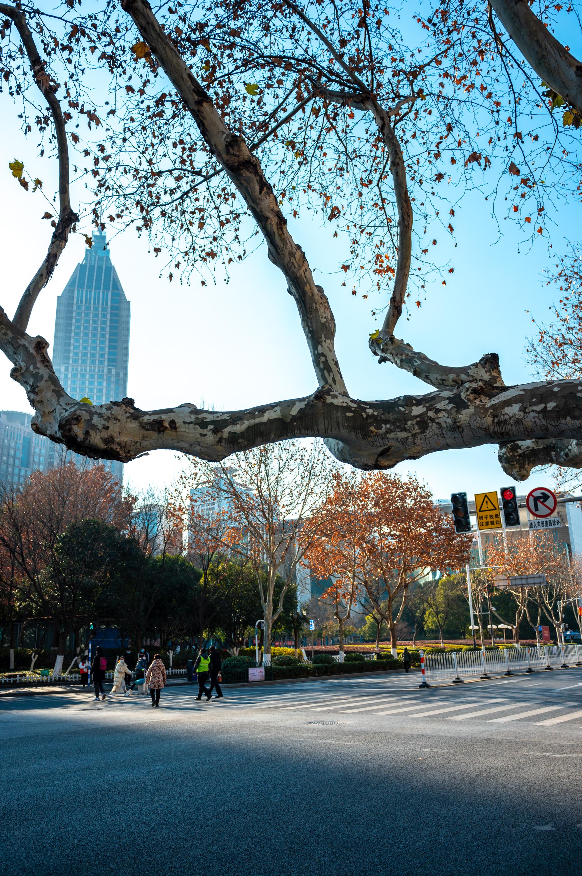 1800米长江路古韵与时尚相交融堪称南京1800年历史的缩影