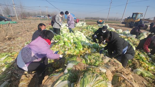 菏泽：第二批6万斤蔬菜30日上午装车，将再次发往西安休闲区蓝鸢梦想 - Www.slyday.coM