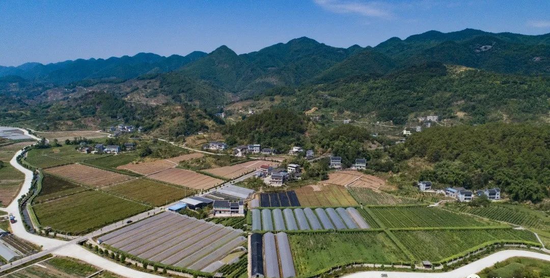 蔬菜大棚整齐划一"璧北片区"包括大路街道,七塘镇,八塘镇,是以现代