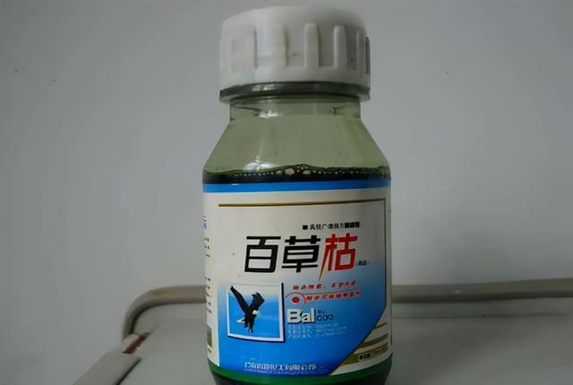 如果你发明了百草枯的解药会对人类有何影响生命或变得可逆