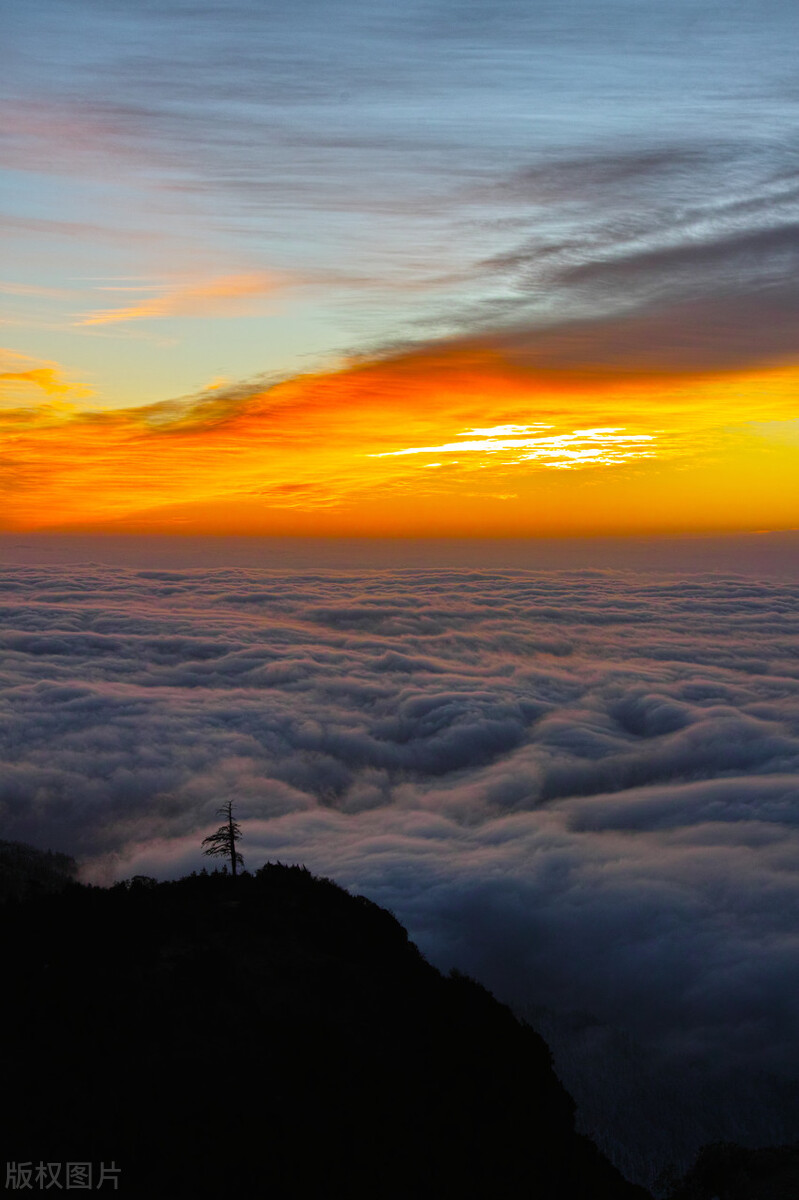 云上太阳它总不改变新年去看中国最美的日出吧新年新气象