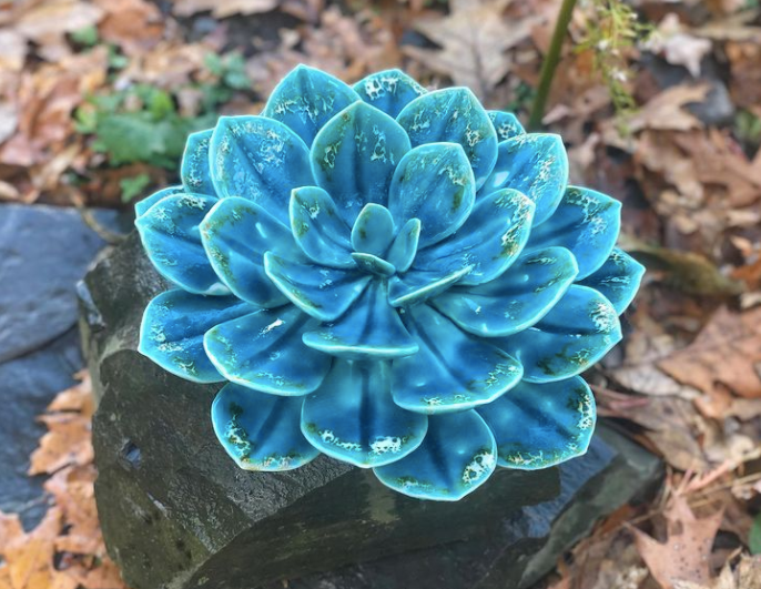 他用粘土制成超逼真多肉花卉,网友:这才是真正的“永生花”休闲区蓝鸢梦想 - Www.slyday.coM 他用粘土制成超逼真多肉花卉,网友:这才是真正的“永生花”休闲区蓝鸢梦想 - Www.slyday.coM