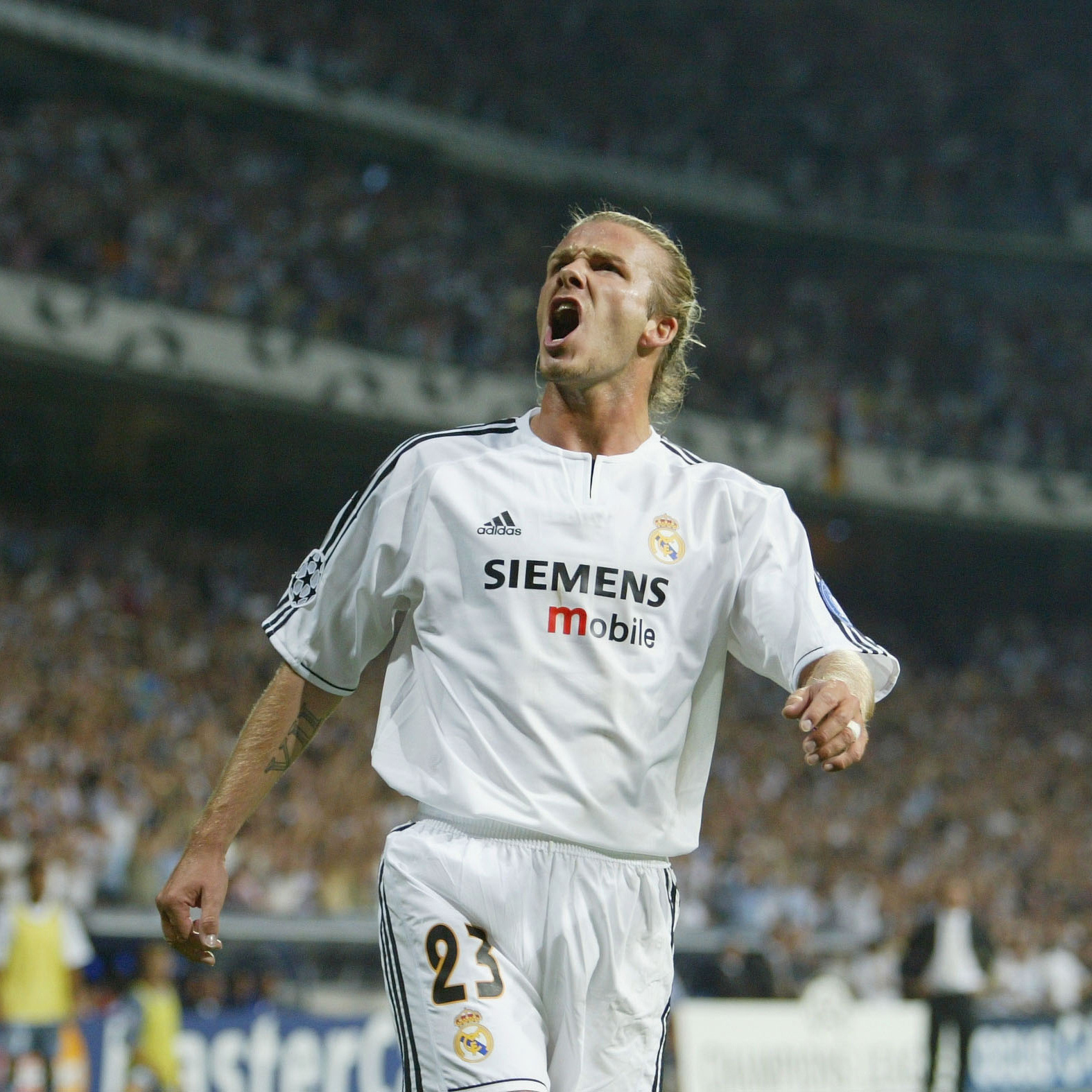 mailonline前皇马球星大卫贝克汉姆有望获得爵位