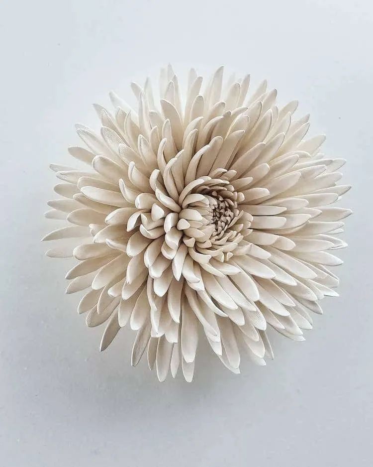 他用粘土制成超逼真多肉花卉,网友:这才是真正的“永生花”休闲区蓝鸢梦想 - Www.slyday.coM 他用粘土制成超逼真多肉花卉,网友:这才是真正的“永生花”休闲区蓝鸢梦想 - Www.slyday.coM