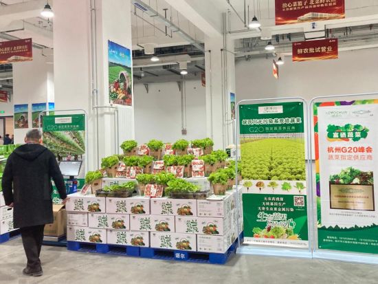 北菜鲜农批开张全新流通体系为蔬菜进京护航