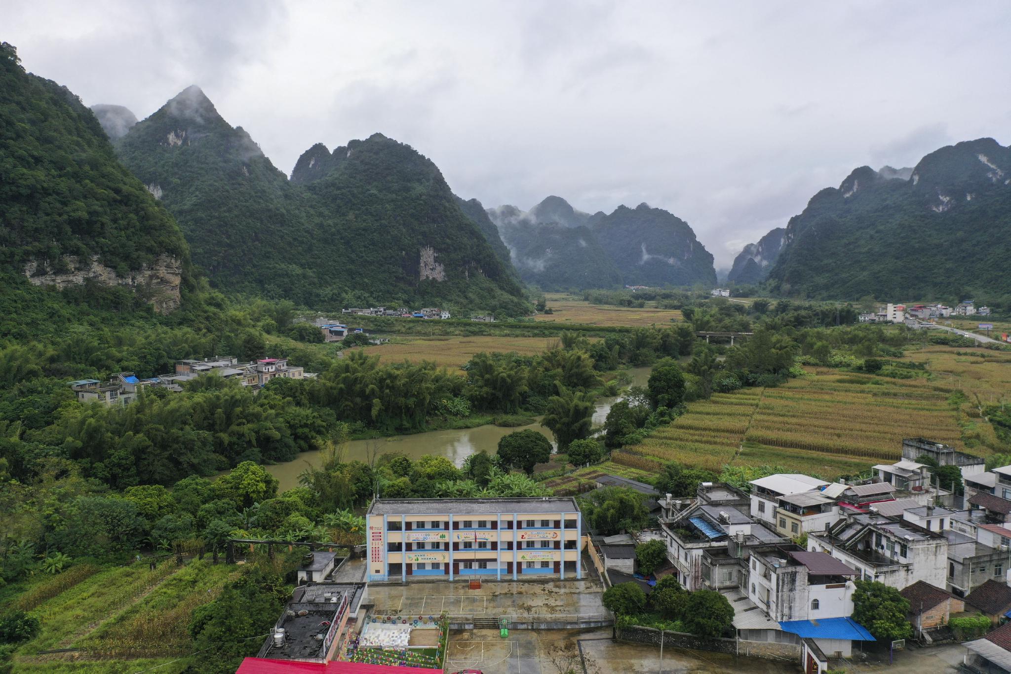新华社记者 陆波岸 摄这是广西武宣县桐岭镇一处果蔬种植基地(11月23