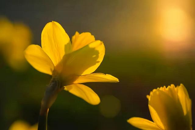 老了才知道，这辈子最重要的不是钱，不是情，而是这两个字休闲区蓝鸢梦想 - Www.slyday.coM