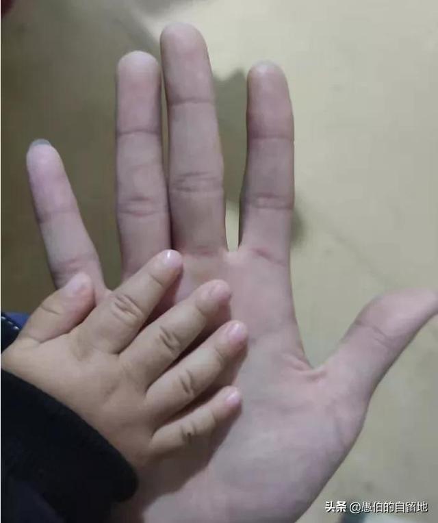 这位父亲写来的信让人心酸：我被1岁9个月的儿子，彻底击垮了休闲区蓝鸢梦想 - Www.slyday.coM