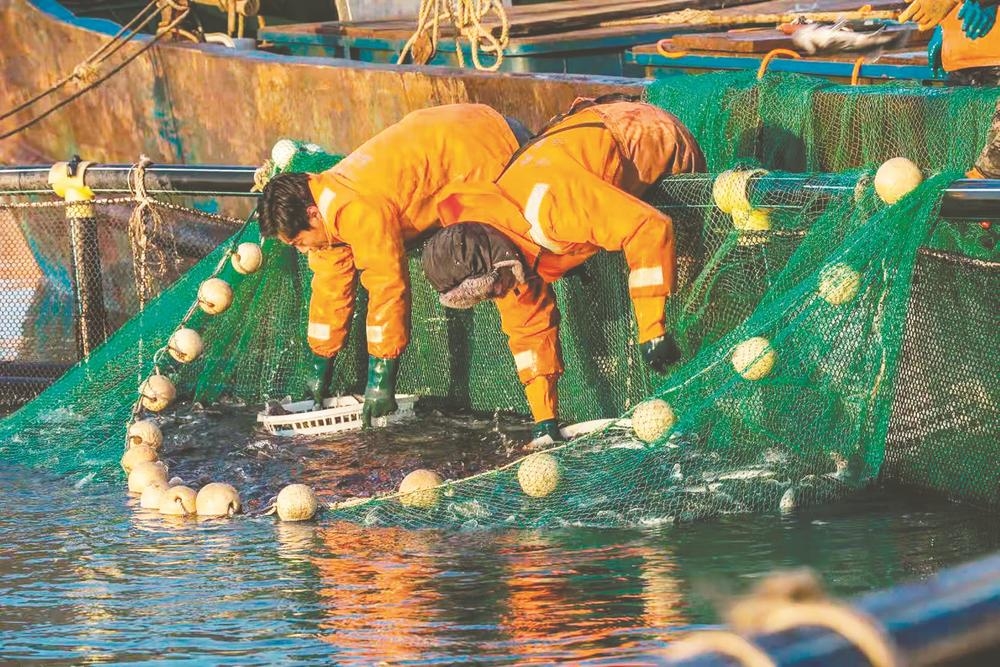 登船！这才是“仙山”上的“神仙”日子！休闲区蓝鸢梦想 - Www.slyday.coM