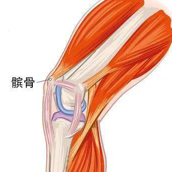 提醒 走路膝关节老发软 容易摔倒 要当心这种疾病 脱位 股四头肌 新浪新闻 提醒 走路膝关节老发软 容易摔倒 要当心这种疾病 脱位 股四头肌 新浪新闻