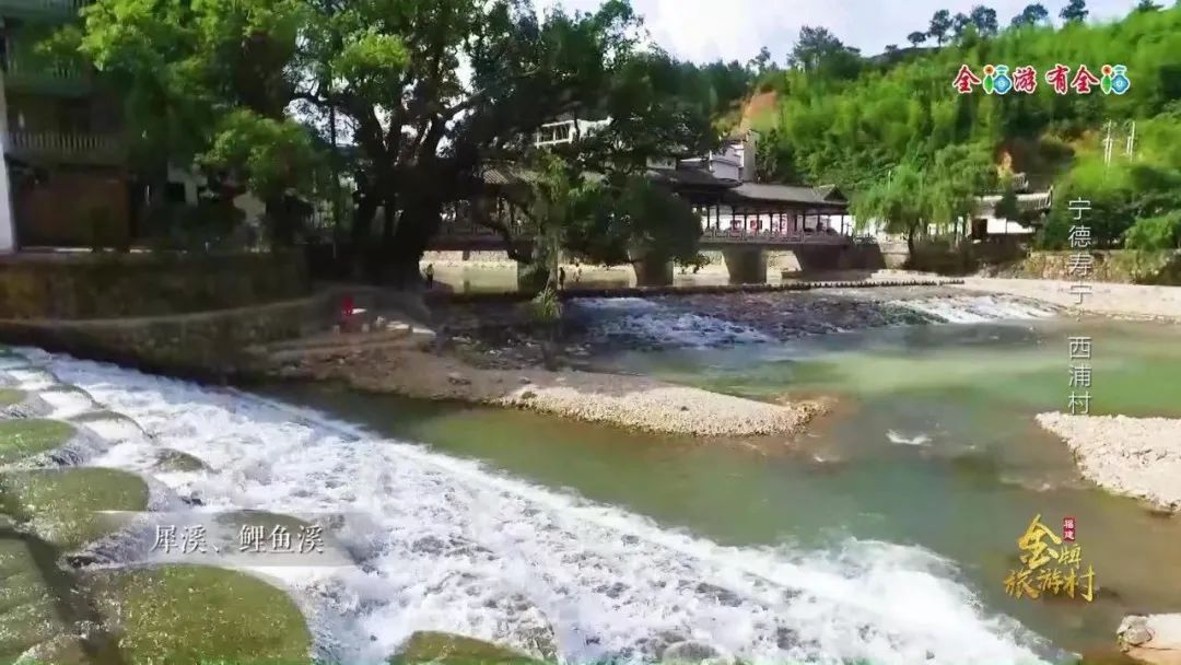 福建4地入选新一批天然氧吧名单！休闲区蓝鸢梦想 - Www.slyday.coM