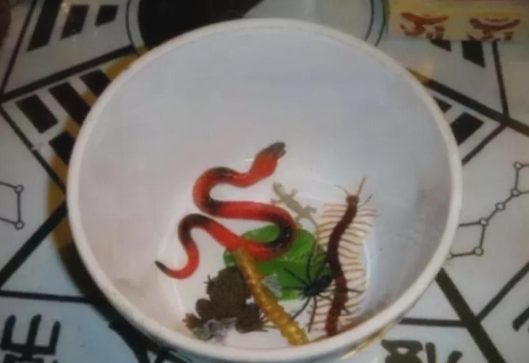 蛊到底是什么为何人们对它敬而远之连科学也无法解释