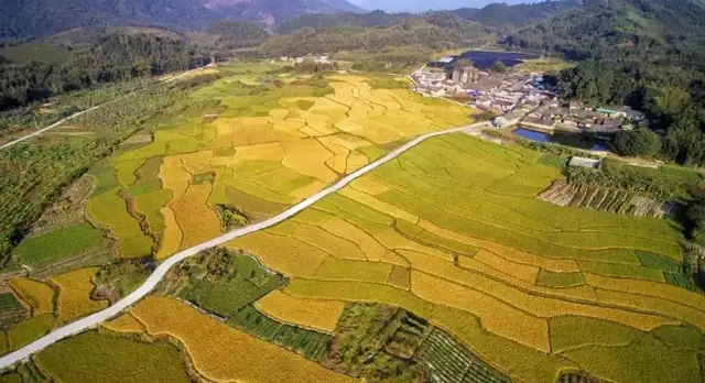 深圳周边这3家新晋网红民宿，有稻田才是最向往的生活丨南方民宿休闲区蓝鸢梦想 - Www.slyday.coM