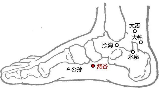 在脚内侧,足弓弓背中部,靠前的位置,有一处穴位,叫然谷穴.