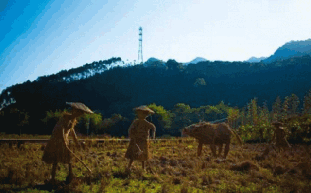 深圳周边这3家新晋网红民宿，有稻田才是最向往的生活丨南方民宿休闲区蓝鸢梦想 - Www.slyday.coM