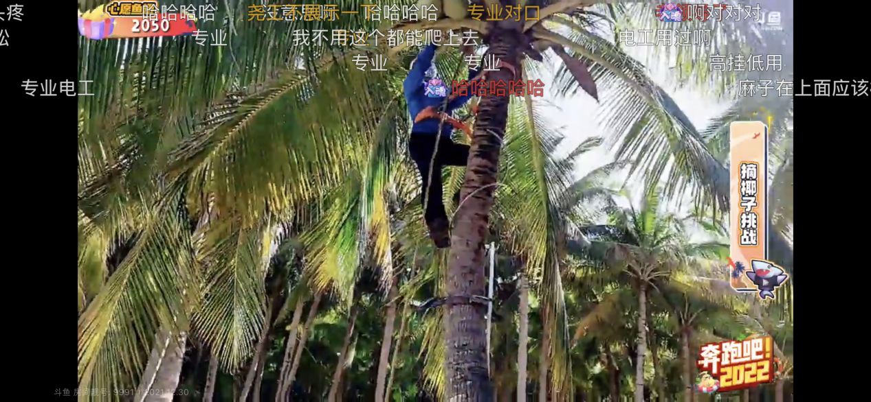 斗鱼奔跑吧！2022爆笑名场面，叠罗汉式摘椰子蚌埠住了休闲区蓝鸢梦想 - Www.slyday.coM