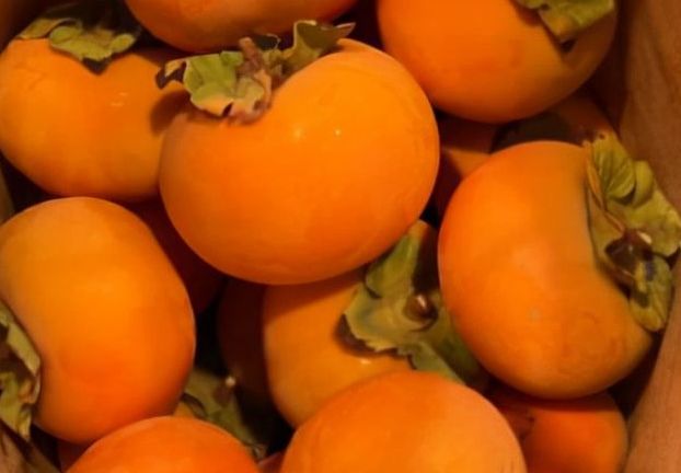 跨年夜晚上零下10度道路都结冰了,多吃3种吉吉果,寓意事事顺心休闲区蓝鸢梦想 - Www.slyday.coM 跨年夜晚上零下10度道路都结冰了,多吃3种吉吉果,寓意事事顺心休闲区蓝鸢梦想 - Www.slyday.coM