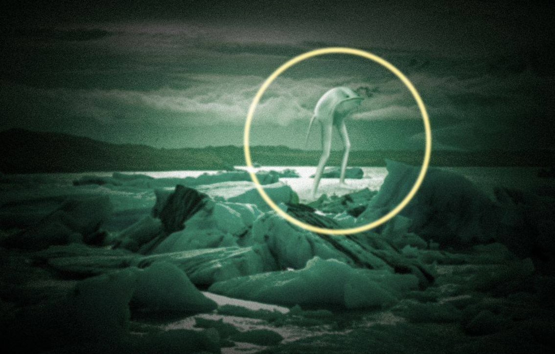 海洋发现外星生物南极再现人造人科学家人类或来自外太空