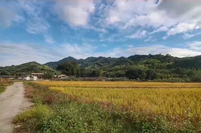 深圳周边这3家新晋网红民宿，有稻田才是最向往的生活丨南方民宿休闲区蓝鸢梦想 - Www.slyday.coM