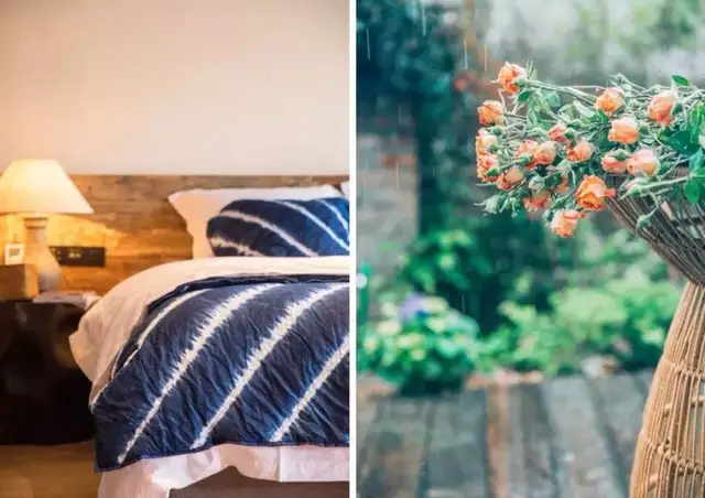 深圳周边这3家新晋网红民宿，有稻田才是最向往的生活丨南方民宿休闲区蓝鸢梦想 - Www.slyday.coM