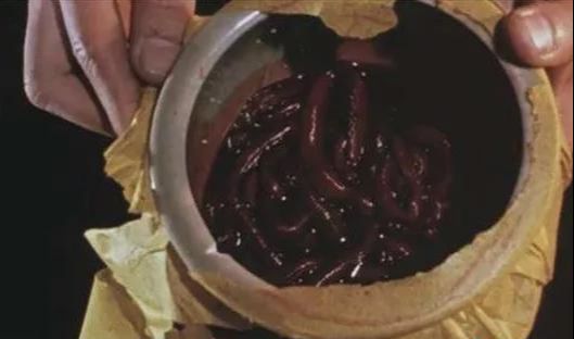 为了干掉情敌,她们会用自己炼制的独门蛊虫去暗害对方