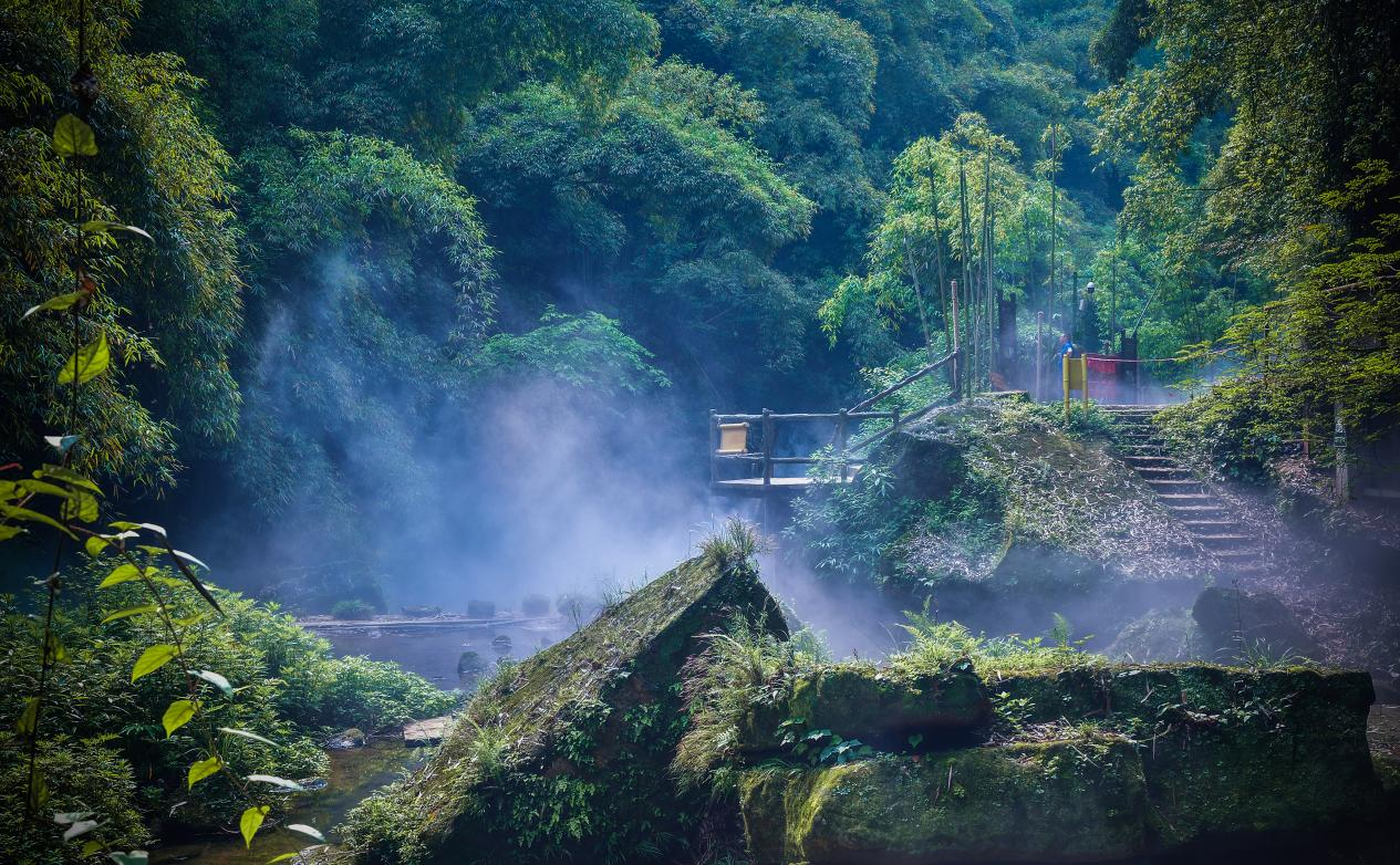 成都周边十万亩竹海圣地冬日来平乐古镇洗肺