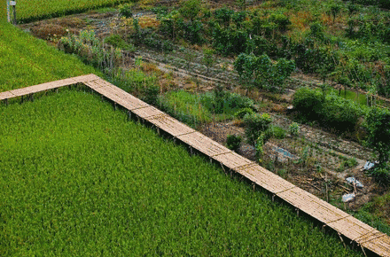 深圳周边这3家新晋网红民宿，有稻田才是最向往的生活丨南方民宿休闲区蓝鸢梦想 - Www.slyday.coM